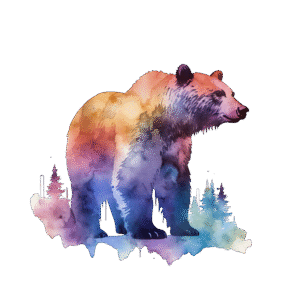 Paint Splash Bear
