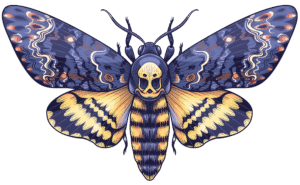 Moth